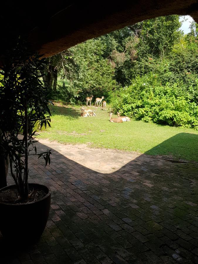 Kruger Park Lodge Unit No. 277 헤이지뷰 외부 사진